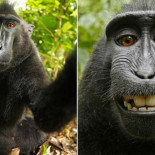 Por qué esta foto de Wikipedia es la más polémica de todas