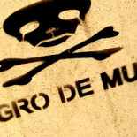 El principio del fin de las bibliotecas españolas