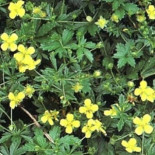 20 noviembre, día mundial de la FILOSOFÍA