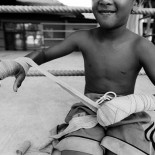 Boxeadores con dientes de leche