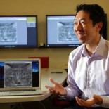 Simulador de Google utiliza 16.000 ordenadores para reconocer un gato