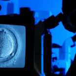 Excluidas lesbianas y mujeres solas de la reproducción asistida pública