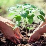 La ONU declara el acceso a un "medio ambiente limpio" como derecho humano