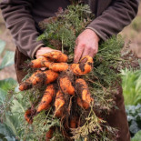 ¿Quién está asfixiando a los agricultores?