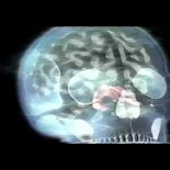 ¿Y si "sentir a Dios" o los "fantasmas" no fueran más que... campos magnéticos?