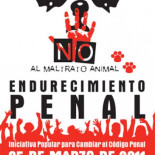 La tortura del perro Schnauzi alienta protestas contra el maltrato animal