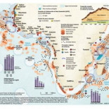 África, despojada de sus recursos pesqueros