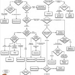 Elige tu terapia alternativa