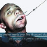 ¿Qué hacemos con dos vacas?