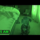 Vamos humano, sal de la cama