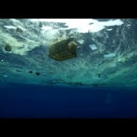 Multiplicación de los panes y los plásticos