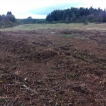 Maquinaria pesada arrasa por segunda vez un túmulo funerario de más de 5.000 años en Galicia [GAL]