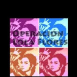 Se lanza la "Operación Lola Flores"  de rescate directo a la banca