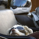 Cámara de video colocada en el filo de una espada