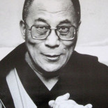 Los últimos programadores libres