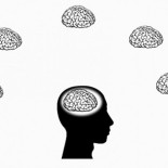 Un sistema para afinar la inteligencia colectiva y evitar el 'efecto rebaño'