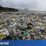 Eliminan 5 millones de kilos de basura y las tortugas vuelven a anidar 20 años después