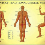 Acupresión o como olvidar un siglo de método científico