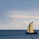 El oxígeno está desapareciendo de los oceanos a un ritmo alarmante [ENG]