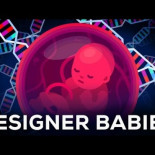 La ingeniería genética lo cambiará todo para siempre