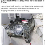 Insólito: Raya marina de 136 kilos salta sobre barco y ataca a una turista