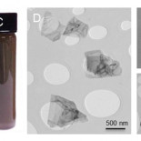 El grafeno tiene un nuevo rival en electrónica, el fósforo negro