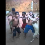 Perro se une a bailar con unos niños