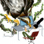 La falta de trabajo en el sur de Europa frustra a su juventud [EN]