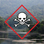 Unilever: Envenenamiento por mercurio