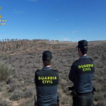 Detenido un hombre en Bormujos por disparar y matar a dos perros por "diversión"