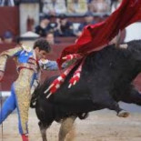 El Ministerio de Educación cambia a sindicalistas por toreros