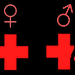 ¿Menor mortalidad en gente hospitalizada tratada por doctoras que en la tratada por doctores?