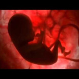 Daft Punk publica en internet los temas que Disney rechazó para Tron