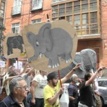 Manifestación antimonárquica de elefantes en Valladolid