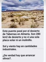 ¿De verdad que hay que arrancar olivos?