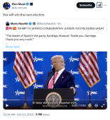 La IF señala a España. Elon Musk: "Vox ganará las siguientes elecciones"