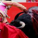 Aluvión de cartas para el Defensor de RTVE en contra de la vuelta de las corridas de toros