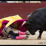 Asociaciones taurinas piden "poner coto" a comentarios "rastreros" en Twiter tras las cogidas de ayer en Las Ventas
