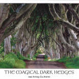 5 maravillas naturales por accidente