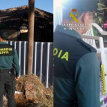 Detenido en Murcia tras disparar 14 veces contra la casa de su vecina y matar a sus 12 perros