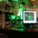 Adiós a las agujas para los análisis: llega el microscopio óptico de células sanguíneas