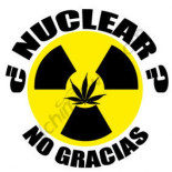 ¿Plantar cannabis para descontaminar Fukushima?