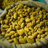 Científicos de la Universidad de Chile crean medicamento que previene metástasis del cáncer