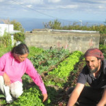 Sin intermediario: los productores artesanos de comida podrán venderla directamente