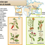 El intercambio de alimentos entre América y Europa - historia de la alimentación