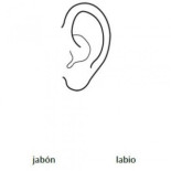 Estas son las preguntas de la OCDE que nos sitúan a la cola en matemáticas y comprensión lectora