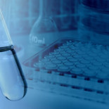 Tratamiento experimental para el cáncer de cerebro mediante inmunoterapia resulta un éxito [ENG]