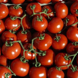 El plástico del futuro - Un biopoliéster vegetal es sintetizado para fabricar envases de plástico biodegradables