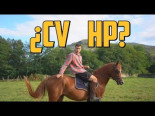 ¿Cuántos caballos de vapor (cv) tiene un caballo de verdad? ¿Y un humano?