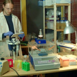 Lanzan crowdfunding para crear insulina de código abierto (eng)